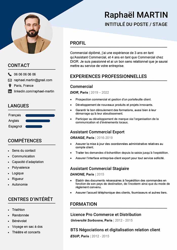 modele stiliser pour informaticien